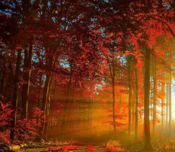 粉象生活赚钱教程