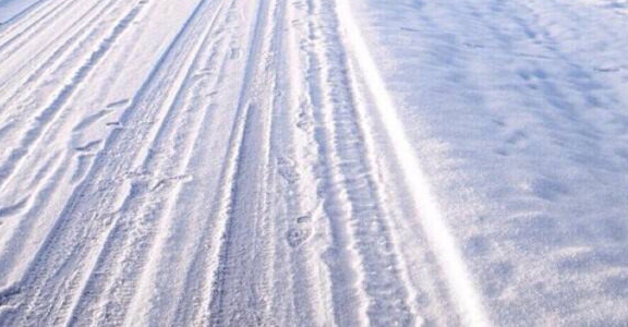 粉象生活和更省哪个好