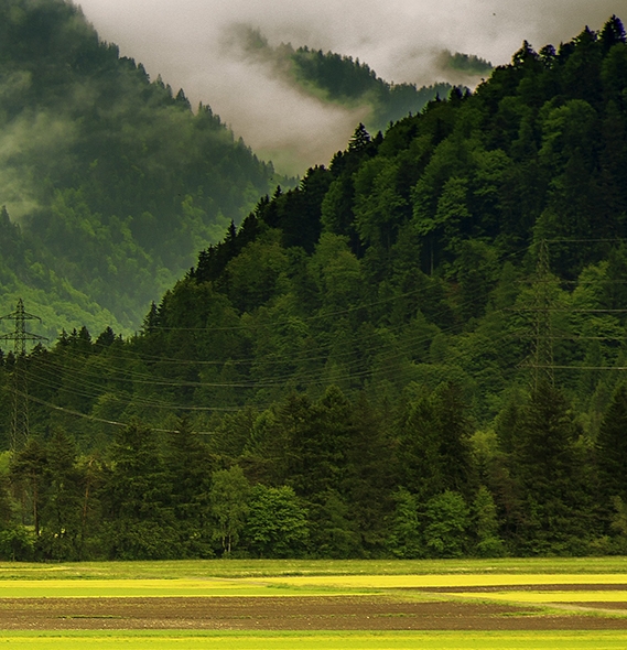 粉象生活不交钱能用吗