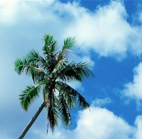 粉象生活深度讲解