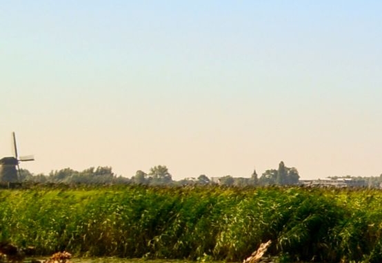 你们是怎么推广粉象的