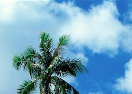 上粉象生活抽奖