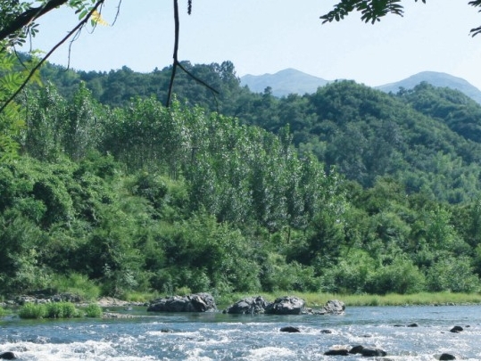 浙江河象网络科技