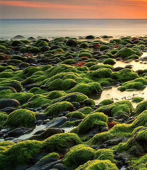 粉象生活收费吗