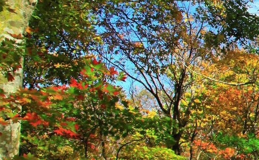 粉象生活注册几天