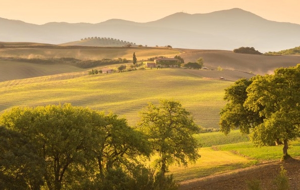 深圳粉象生活收入