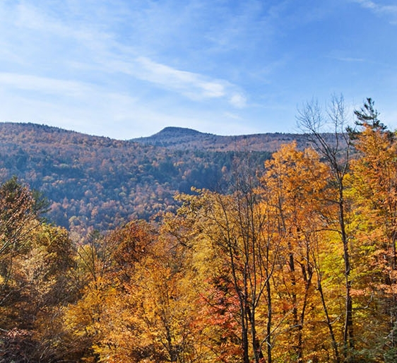 粉象生活的奖码是真的吗