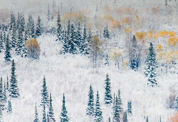 粉象生活能赚钱吗