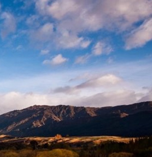 粉象生活板块图片