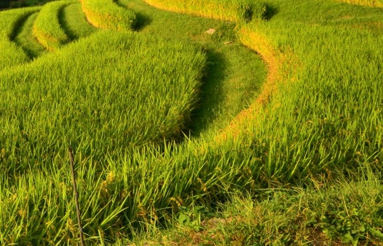 福袋生活粉象生活