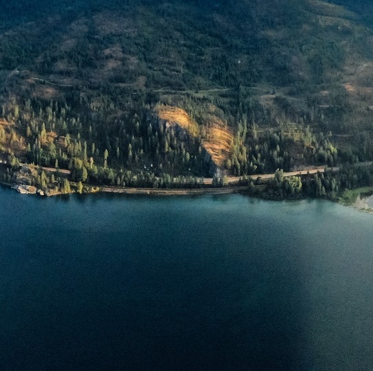 粉象生活宣传资料