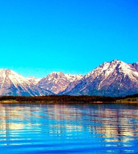 粉象生活赚钱教程