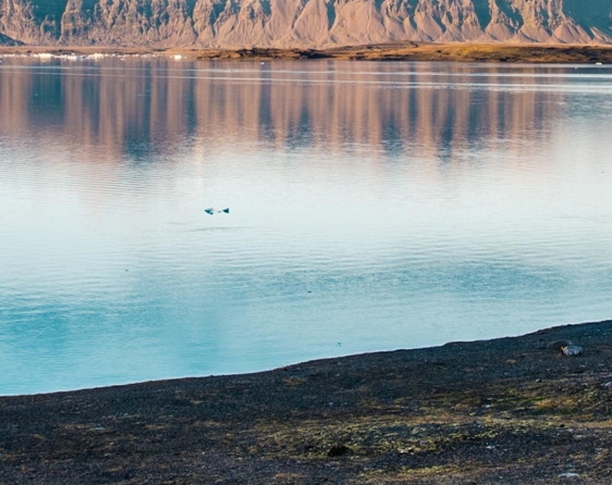 约粉加盟总店电话