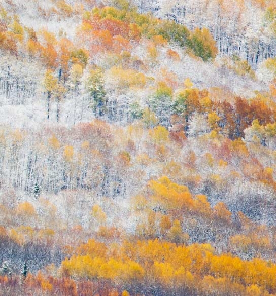 淘宝买抖音粉靠谱吗