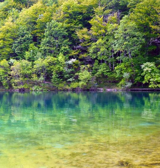 粉象生活升级后大概几天才看到收入