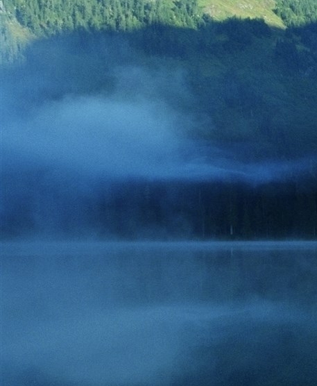 粉象生活是一个什么平台