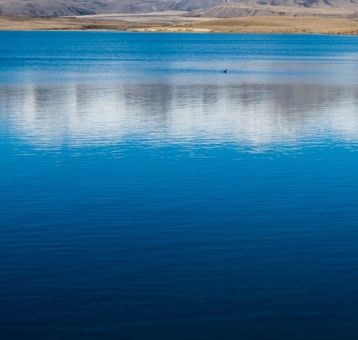 浙江口碑好的粉象生活推广
