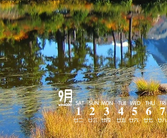 粉象生活app最新版