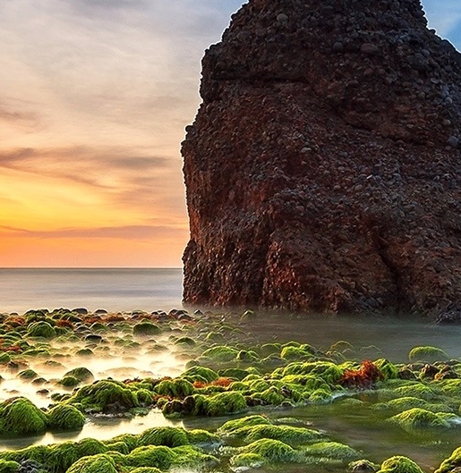 粉象生活佣金对比