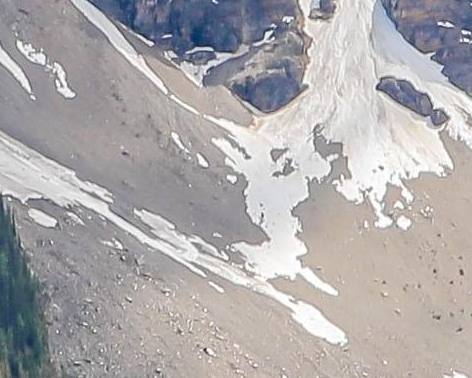 粉象生活怎么玩