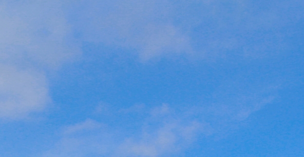 粉象生活怎么赚钱的