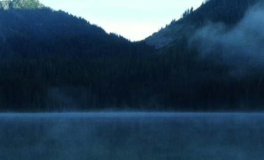 粉象生活买东西便宜吗?