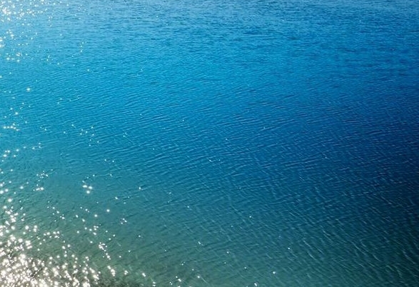 粉象生活每日返利