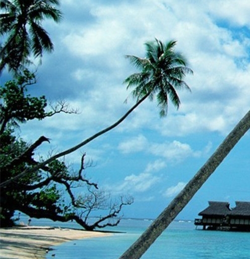 粉象生活app下载