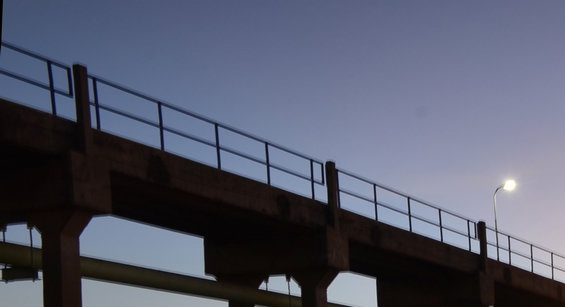 粉象生活佣金收入