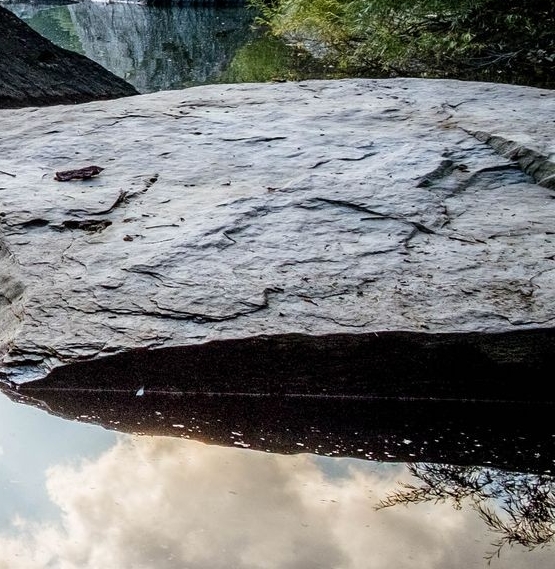 生活的底层逻辑是什么