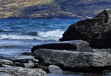 扬州粉象生活收入