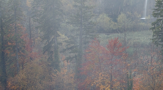 临沂华象杯子代理电话