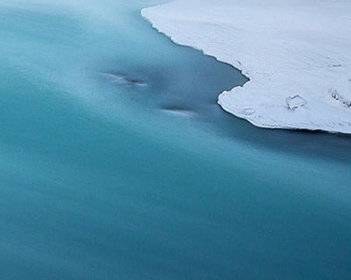 洋葱在生活中的作用