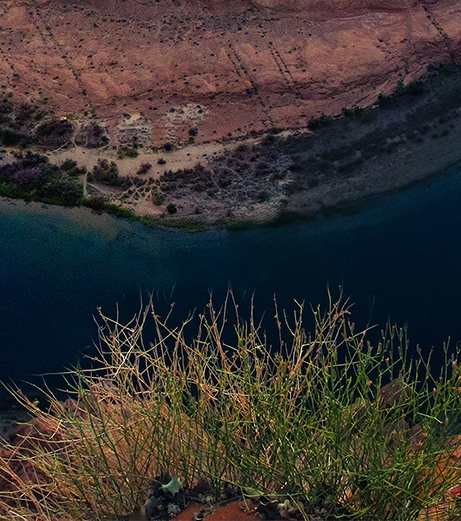 浙江生活6频道电话