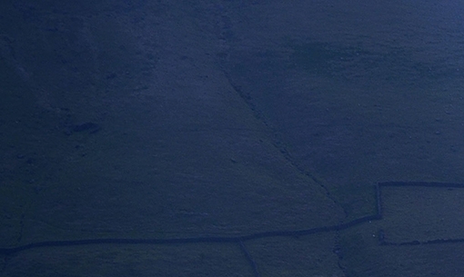 粉象生活app是干嘛的