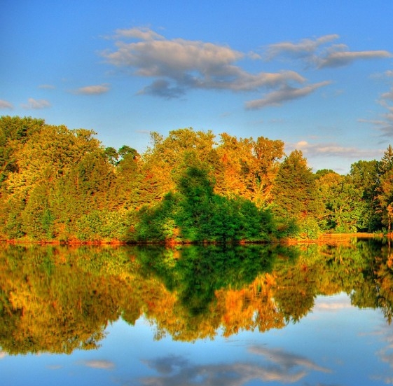 粉象生活新手教程视频