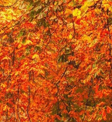 深圳粉象生活使用教程