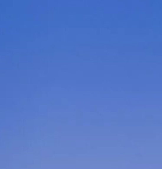 粉象生活app下载