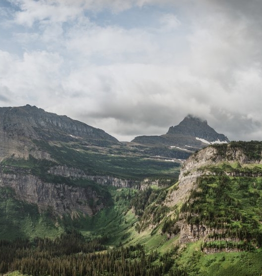 粉象生活和抖音哪个更靠谱