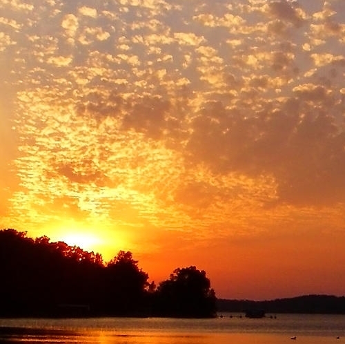 粉象生活京东怎么使用