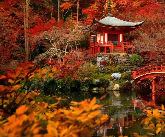 粉象生活购买的礼包可以退吗