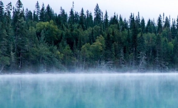粉象生活怎么赚钱一级靠谱吗