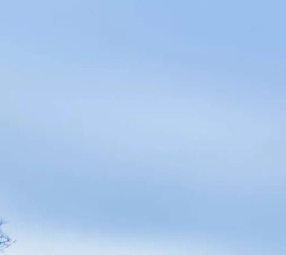 粉象生活能挣钱吗