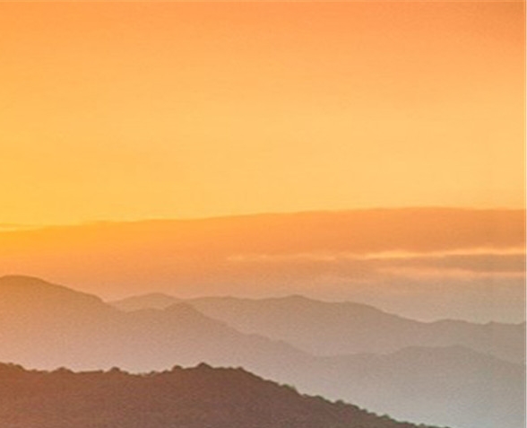 粉象生活是个什么东西