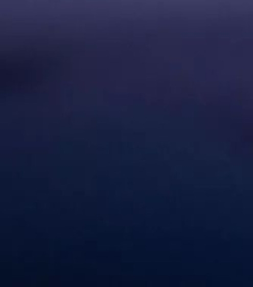 粉象生活免费看