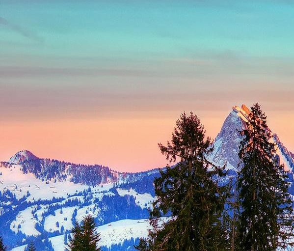 粉象生活推广引流软件