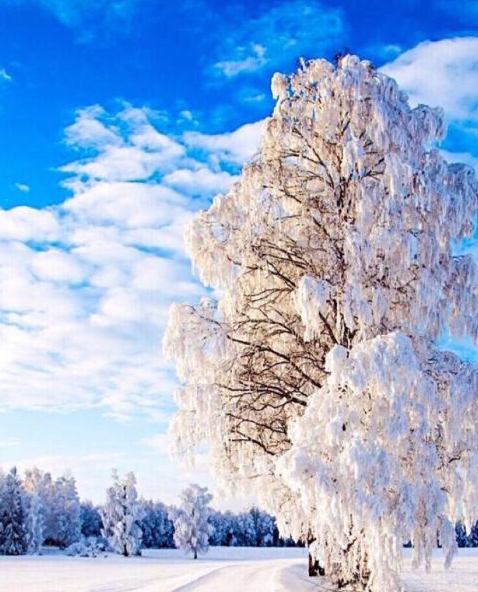 粉象生活是什么样的平台