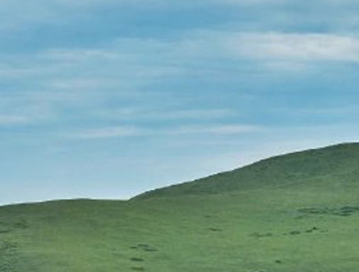 亳州粉象生活推广