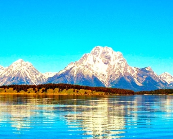 粉象生活代理模式