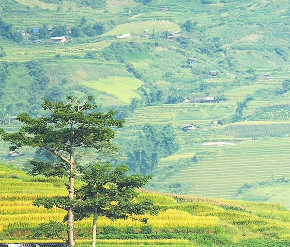 湖北粉象生活图片